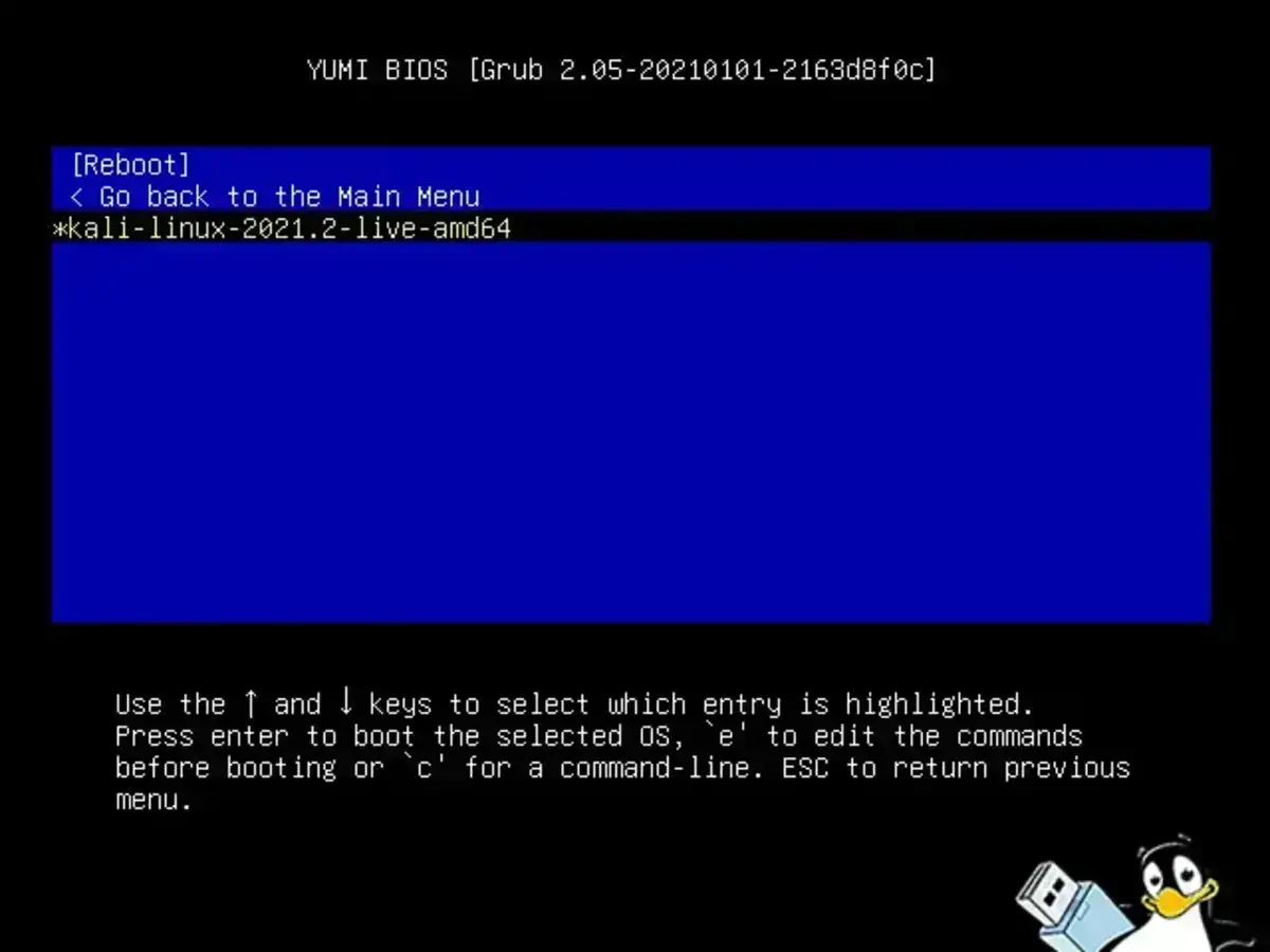 KALI Linux booting from a flash drive with persistence KALI Linux booting from a flash drive